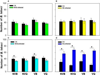 Plants Pre-Infested With Viruliferous MED/Q <mark class="highlighted">Cryptic Species</mark> Promotes Subsequent Bemisia tabaci Infestation